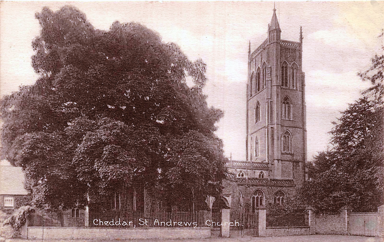 St. Andrews, Cheddar
