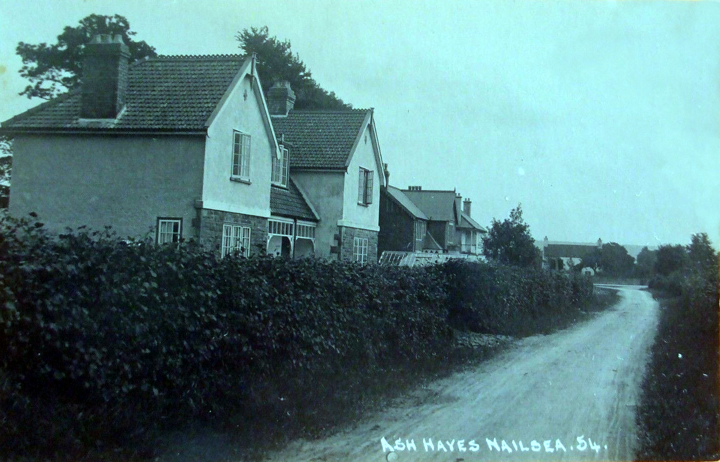 Ash Hayes, Nailsea