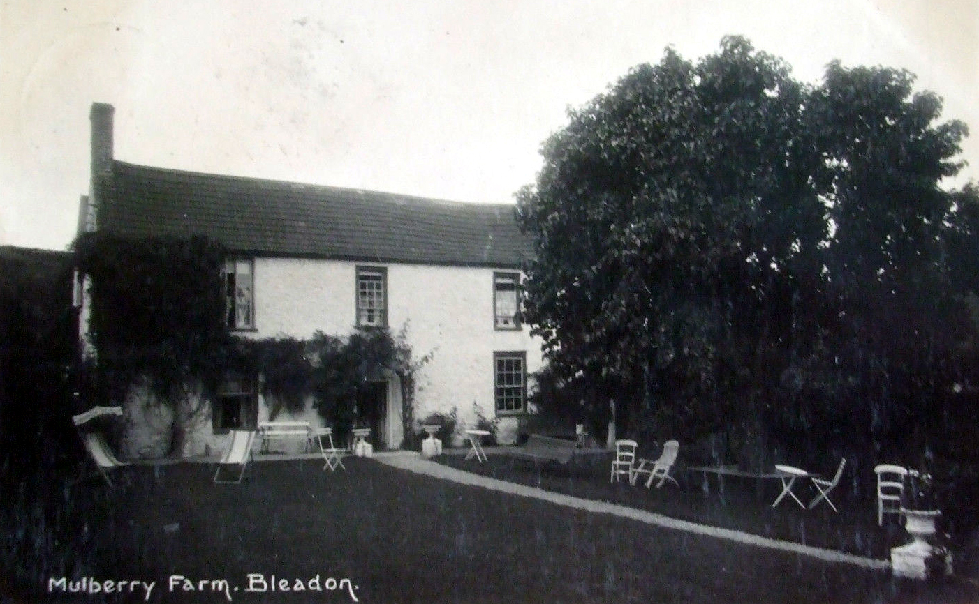Mulbery farm, Bleadon