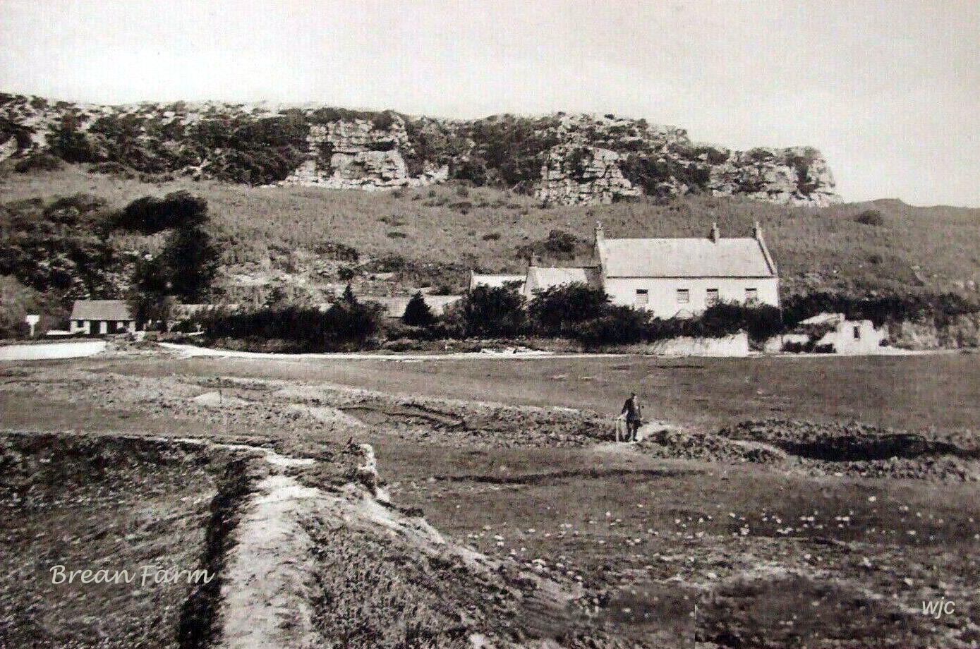 Brean Down Farm